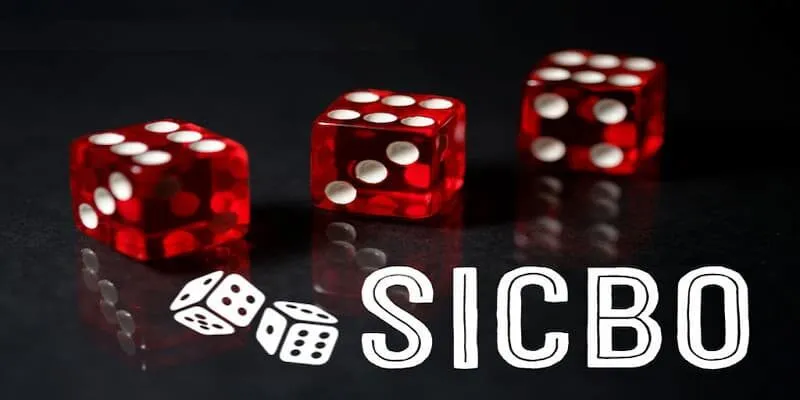 Sicbo là gì? Hướng dẫn chơi sicbo hiệu quả cho newbie 1 Giải đáp thắc mắc về Sicbo là gì